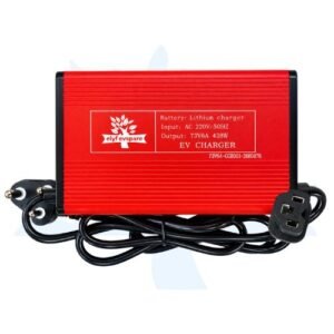 73V 6A Lithium EV Charger for LFP Battery